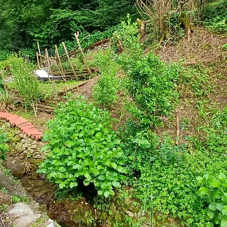 Apartmán La Casetta Nel *