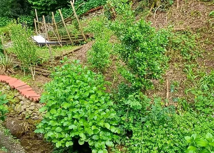 Apartment La Casetta Nel *