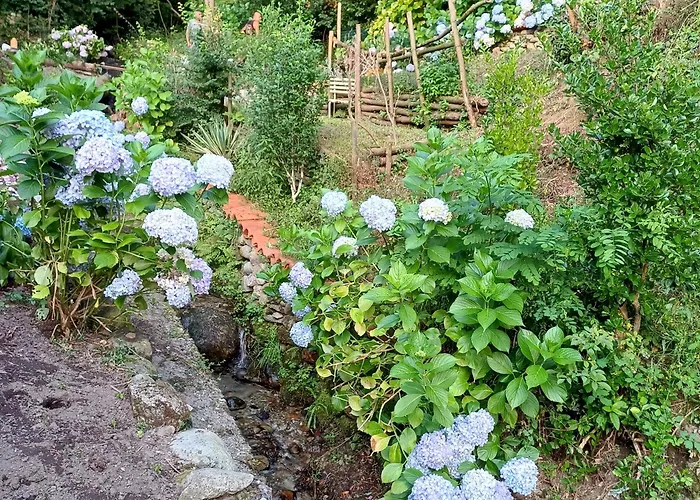 Apartment La Casetta Nel Como